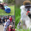 >Dartmoor Zoo